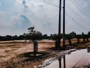 Horse Race Ground