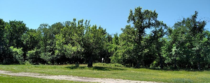Luhansʹkyy Pryrodnyy Zapovidnyk Natsionalʹnoyi Akademiyi Nauk Ukrayiny