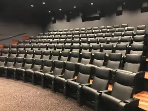 ODEON Moss