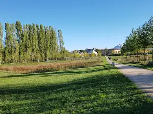 Парк Куломе