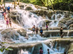 더 월드 페이머스 던스 리버 팔스 & 공원
