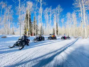 Thunder Mountain Motorsports