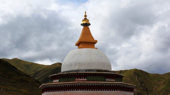 qing hai sheng guo luo zhou gan de xian qia dong ri si