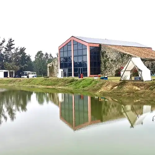 東英國際慢城趕海公園
