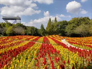 Gifu World Rose Garden