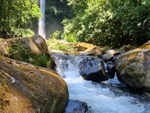 Cascada Cola De Caballo Catemaco