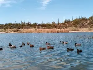 Kearny Lake City Park