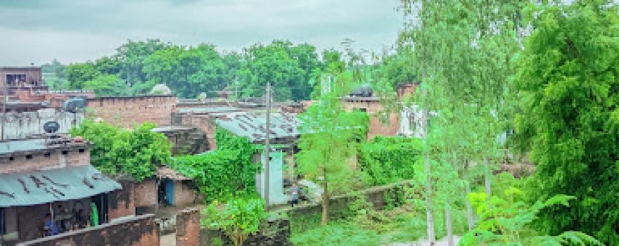 Nagarkot Wali Mata Mandir Nai Basti