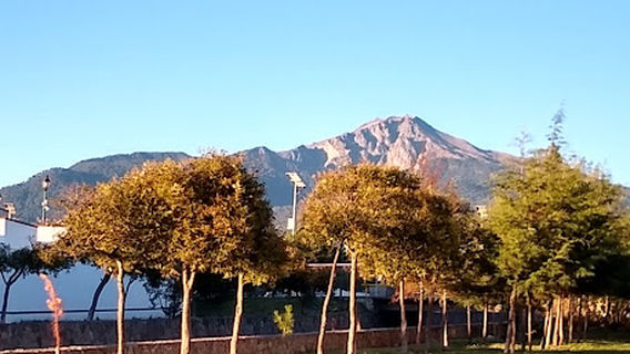 juegos "Mickey Maguey" Park