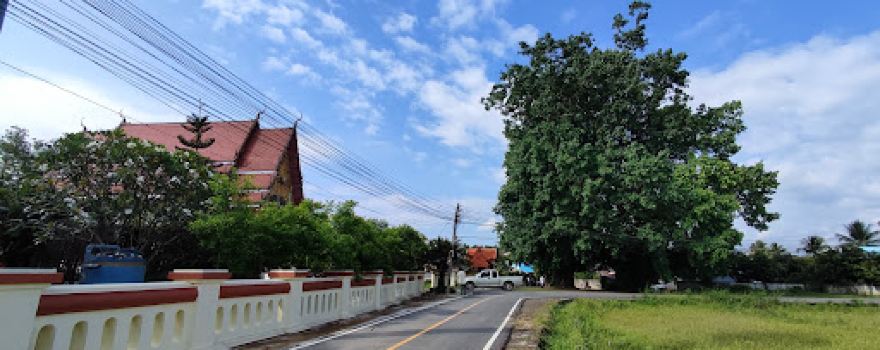 Wat Thung Phueng