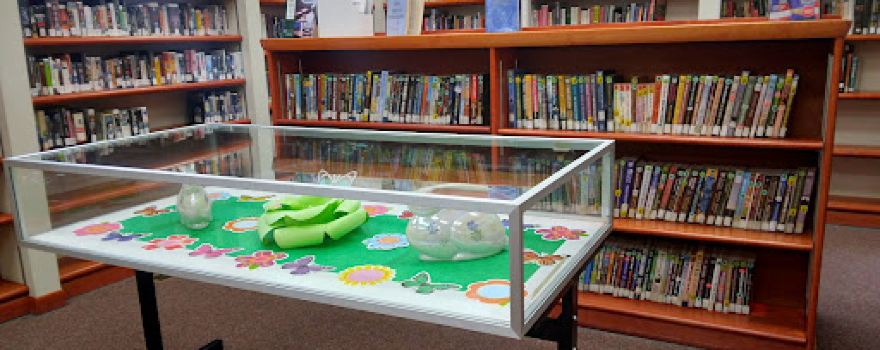 Joseph R Palmer Memorial Library