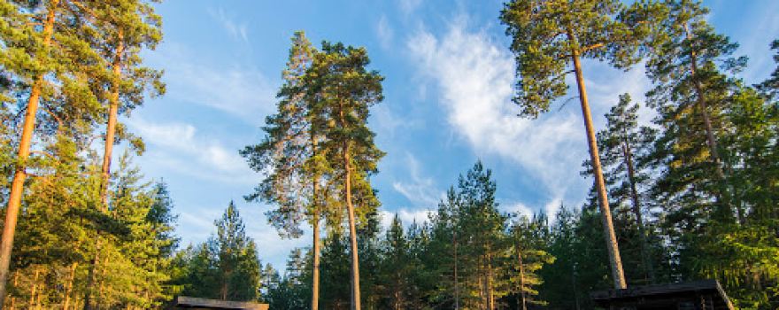 Kils Skidbacke/Frykstabacken