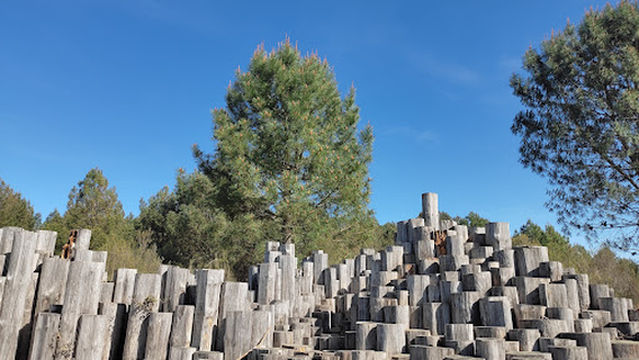 National Hunting Reserve and Wildlife Arjuzanx