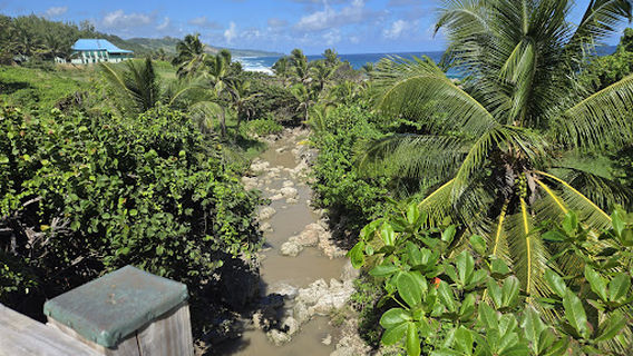Joe's River