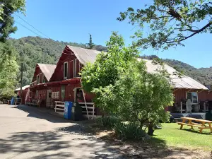 Snow-Line Orchard