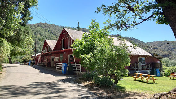 Snow-Line Orchard