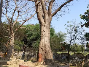 Devraha Baba Math sthan