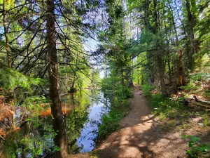 Farquar-Metsa Tourist Park