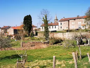 Source de La Saône