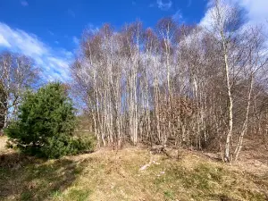 Huvenhoopsmoor