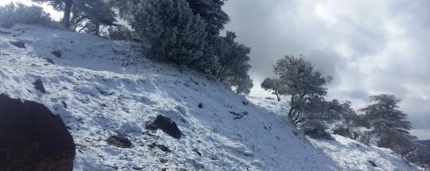 EL MEDDAD National Park in Algeria