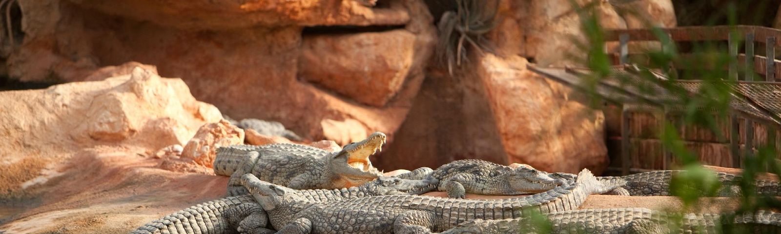 PierrelatteSIM-Karten