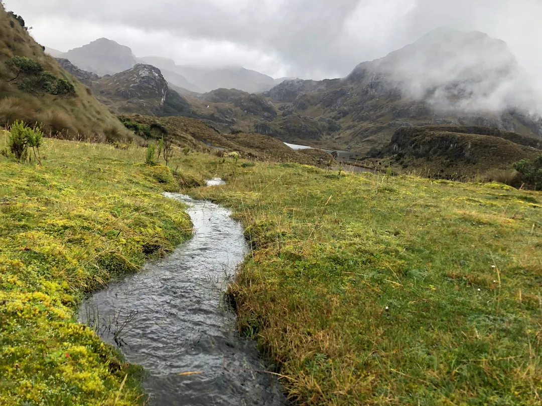 4_Parque Nacional Cajas