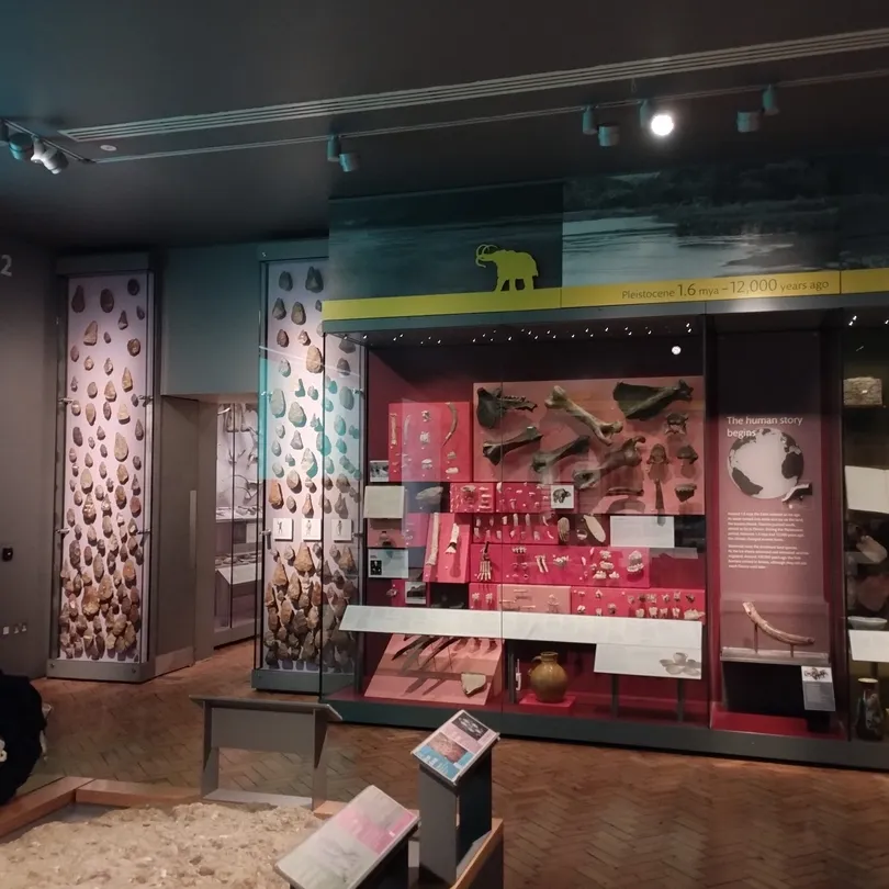 3_Royal Albert Memorial Museum and Art Gallery