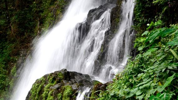 Valanjanganam Water Falls