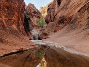 Red Cliffs National Conservation Area