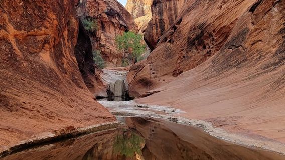 Red Cliffs National Conservation Area