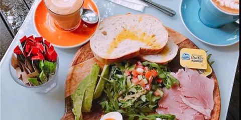 喬治布朗達爾文植物園