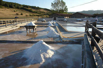 Salinas de Rio Maior