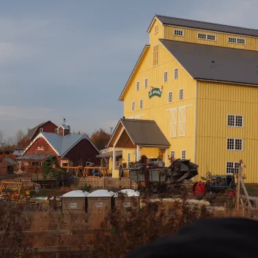 Vala's Pumpkin Patch