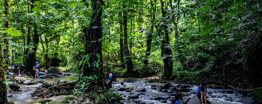 Sungai Congkak Recreational Forest