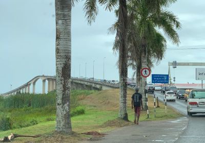 Jules Wijdenbosch Bridge