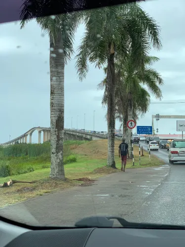 Jules Wijdenbosch Bridge