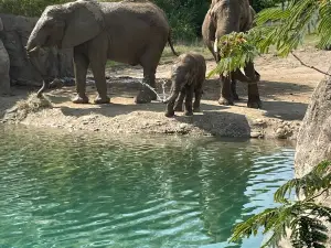 Indianapolis Zoo