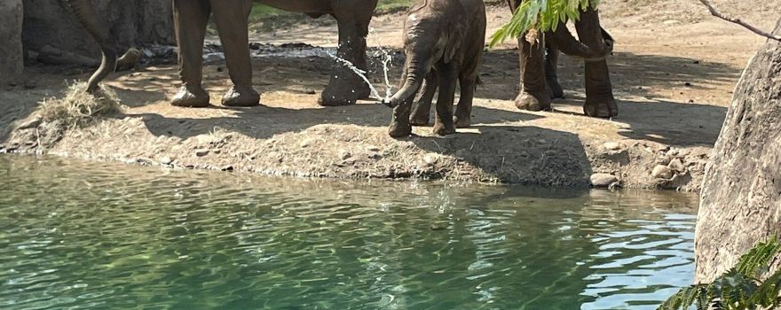 Indianapolis Zoo