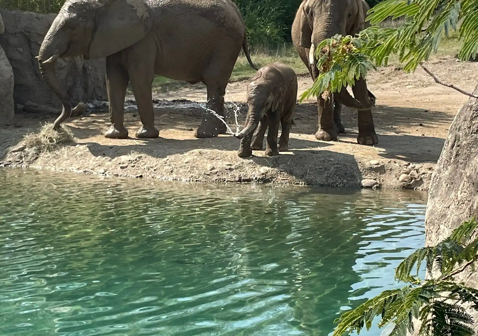 Hotels in de buurt van Indianapolis Zoo