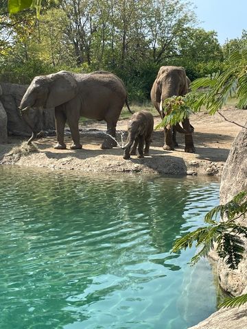 Indianapolis Zoo