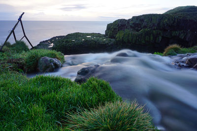 RSPB Scotland Fowlsheugh