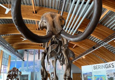 Beringia lnterpretive Centre