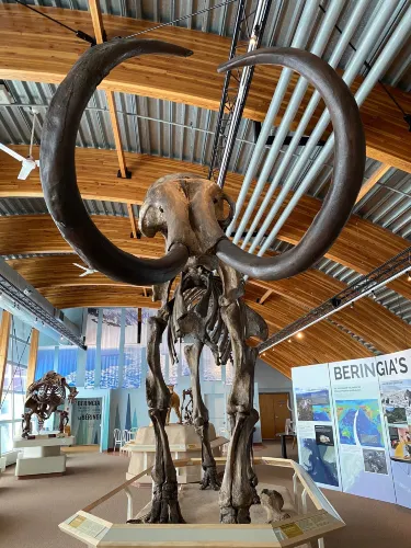 Yukon Beringia Interpretive Centre