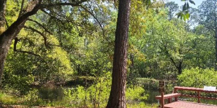 Audubon Newhall Preserve