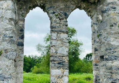 Desmond Castle Adare