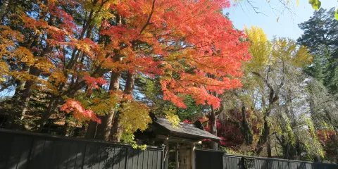 Ishiguro Samurai House