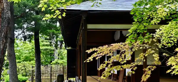 Hotels in Shibata