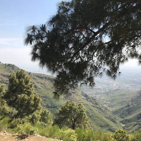 Pir Sohawa