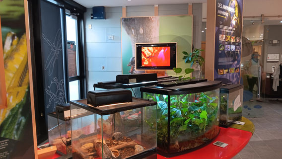 Musée du Fjord (Fjord Museum)